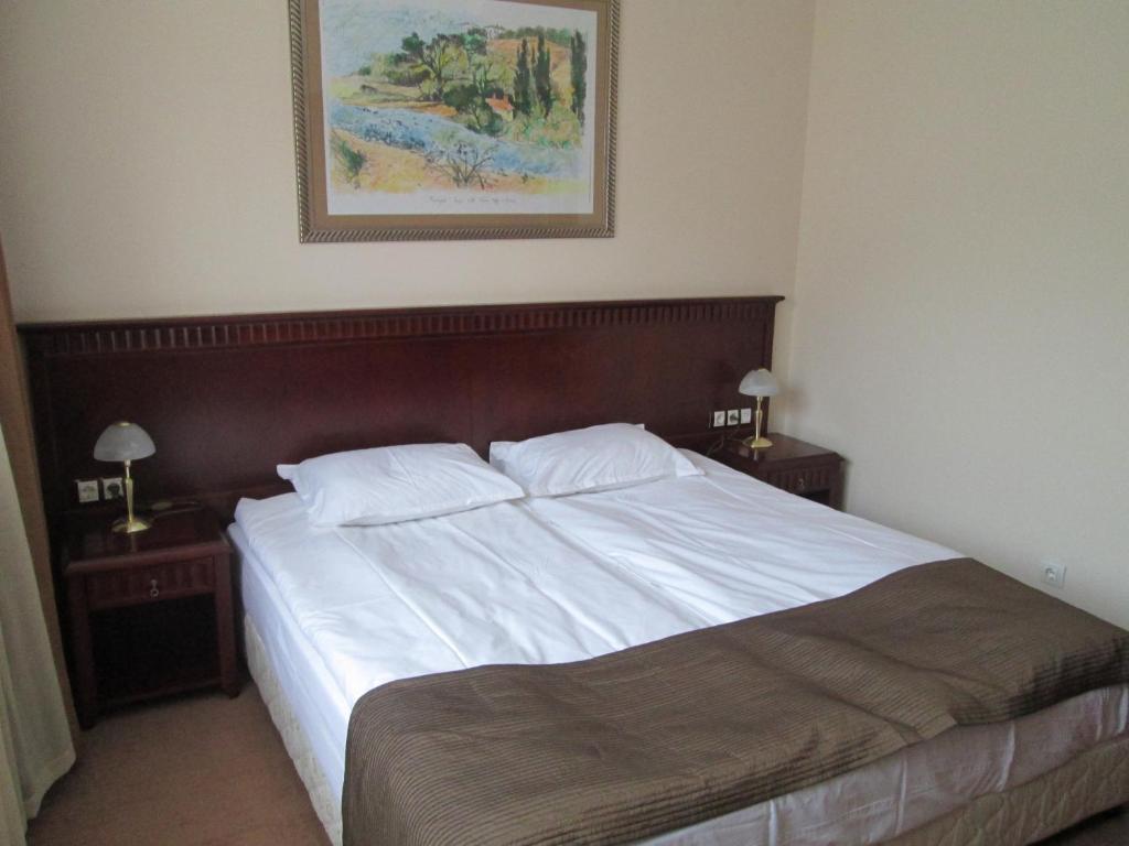 Downtown Alexander Services Apartments بانسكو الغرفة الصورة
