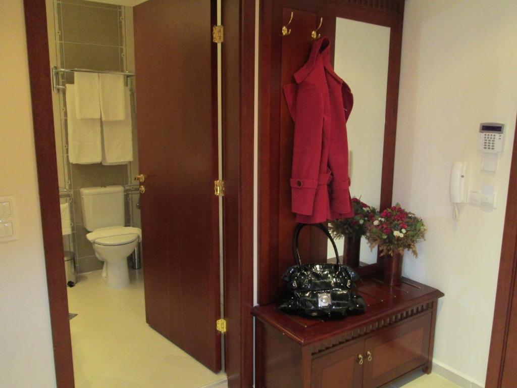 Downtown Alexander Services Apartments بانسكو الغرفة الصورة