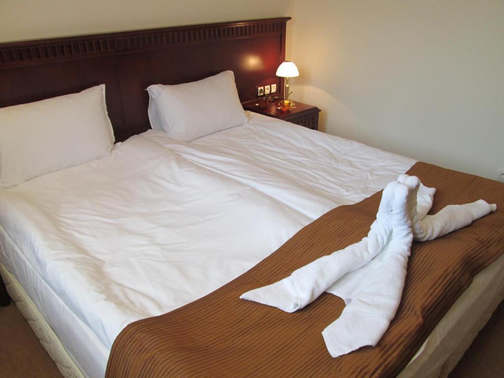 Downtown Alexander Services Apartments بانسكو الغرفة الصورة