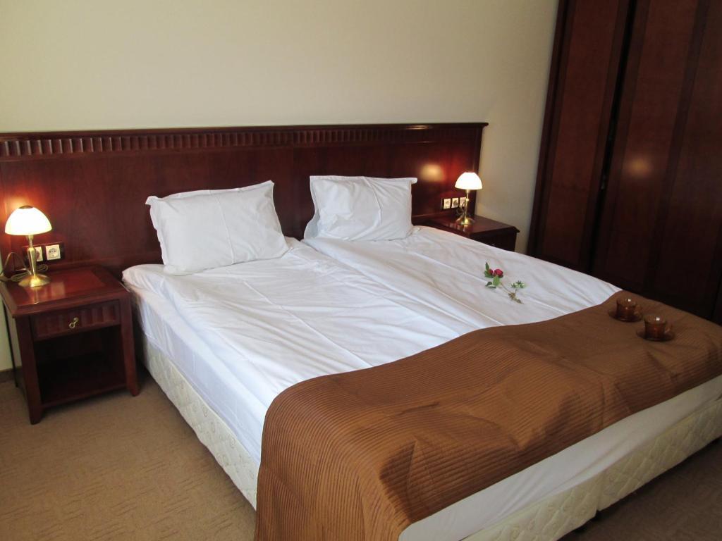 Downtown Alexander Services Apartments بانسكو الغرفة الصورة